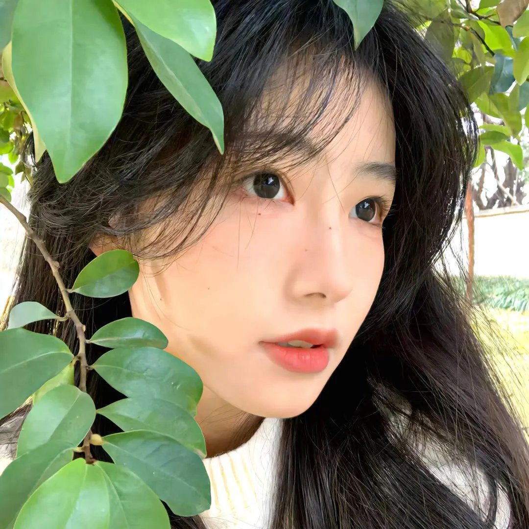 亲爱伴侣